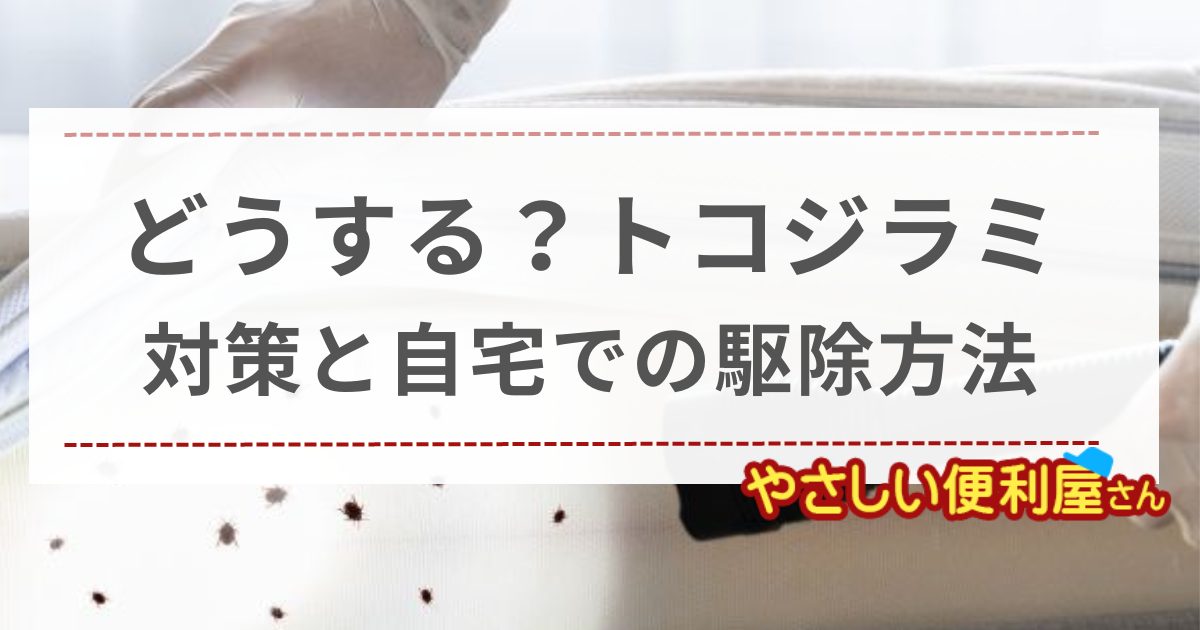 トコジラミ（南京虫）は駆除できる？刺されたときの対策方法やどこにいるかを解説